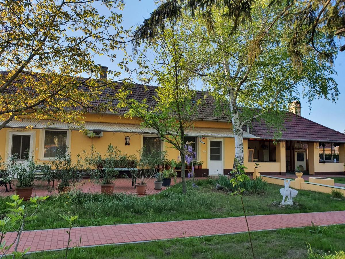 Platan Szallashely Hotel Sándorfalva Exterior photo