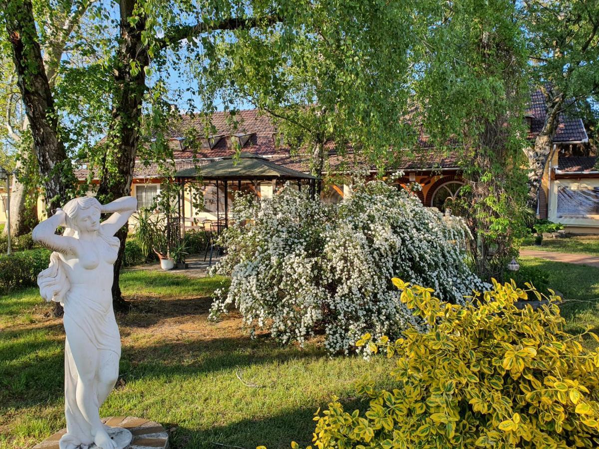 Platan Szallashely Hotel Sándorfalva Exterior photo